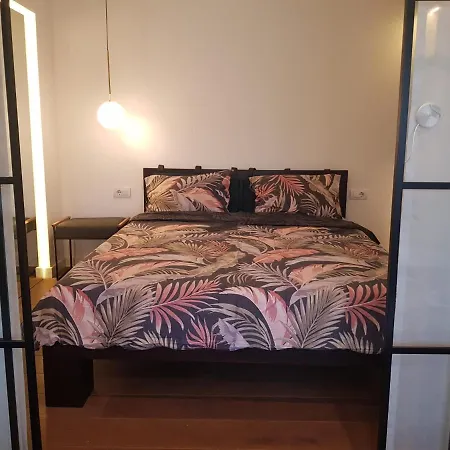 Emily 贝尔格莱德