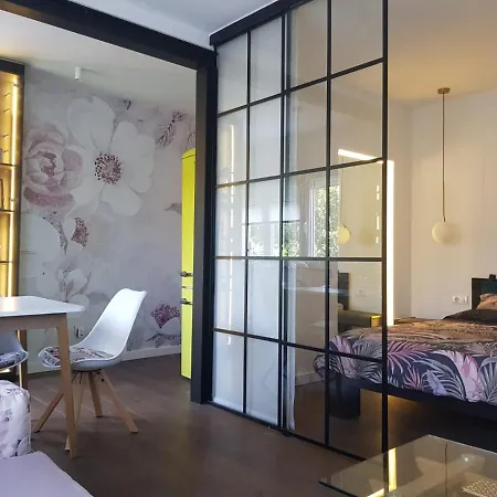 Emily 贝尔格莱德