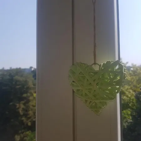 Emily * Βελιγράδι